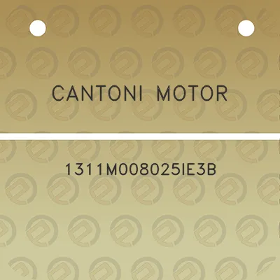 cantoni-motor-1311m008025ie3b