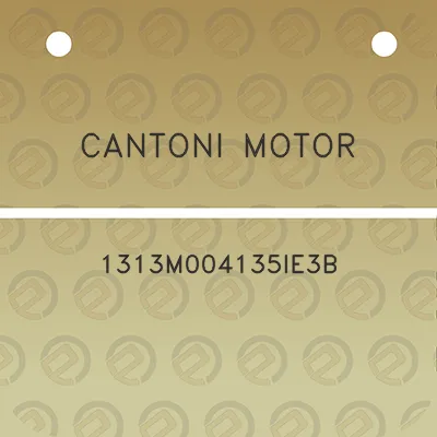 cantoni-motor-1313m004135ie3b