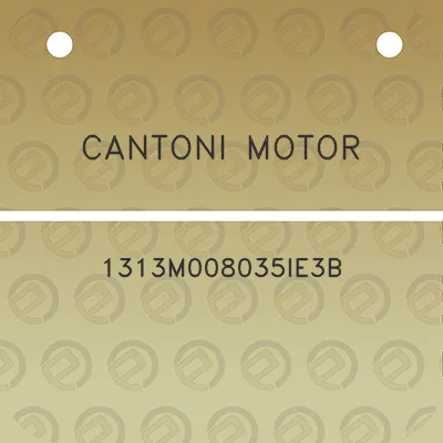 cantoni-motor-1313m008035ie3b