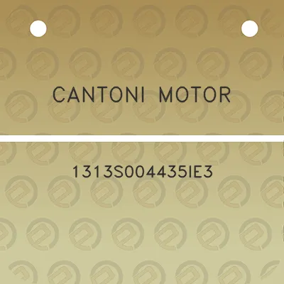 cantoni-motor-1313s004435ie3