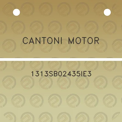 cantoni-motor-1313sb02435ie3