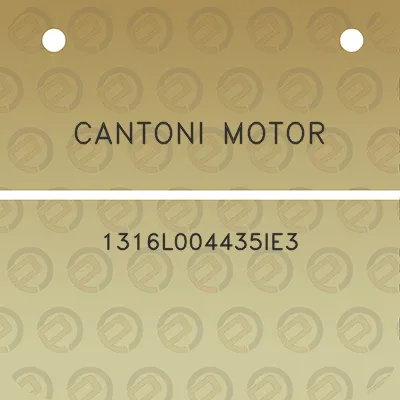 cantoni-motor-1316l004435ie3