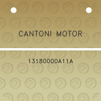 cantoni-motor-13180000a11a