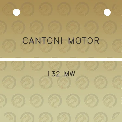 cantoni-motor-132-mw