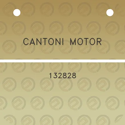 cantoni-motor-132828