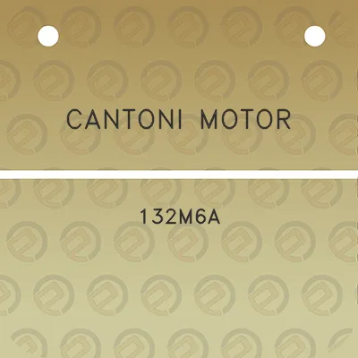 cantoni-motor-132m6a