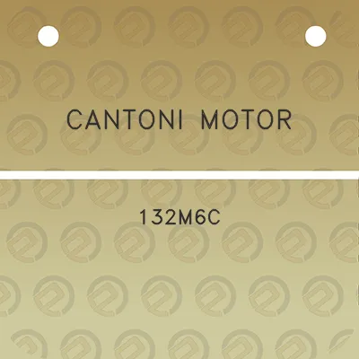 cantoni-motor-132m6c