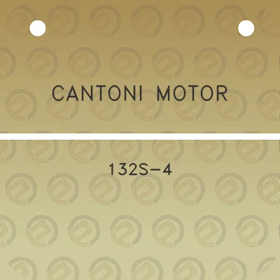 cantoni-motor-132s-4