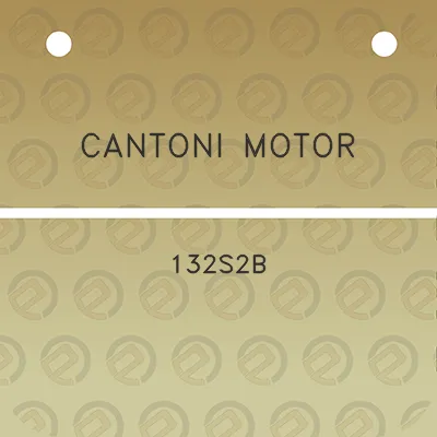 cantoni-motor-132s2b