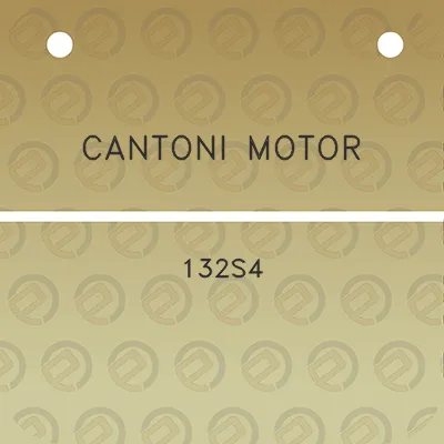 cantoni-motor-132s4