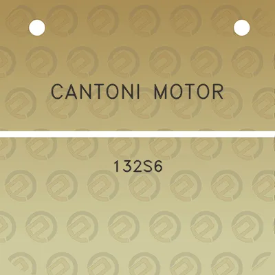 cantoni-motor-132s6