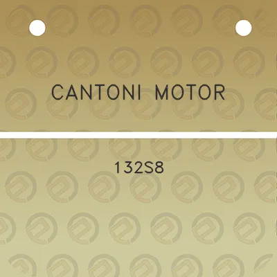 cantoni-motor-132s8