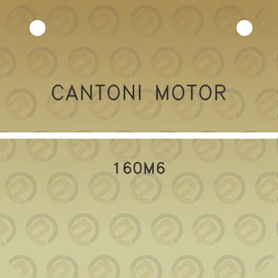 cantoni-motor-160m6