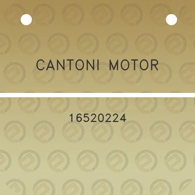 cantoni-motor-16520224