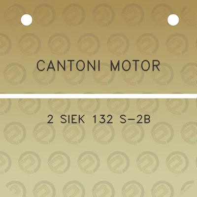 cantoni-motor-2-siek-132-s-2b