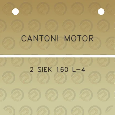 cantoni-motor-2-siek-160-l-4