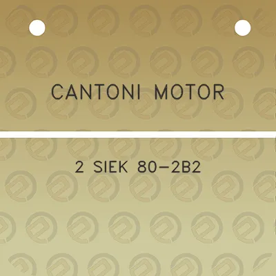 cantoni-motor-2-siek-80-2b2