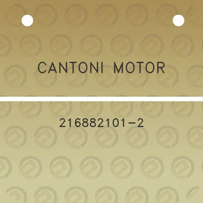 cantoni-motor-216882101-2