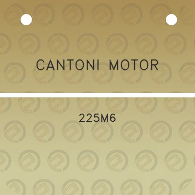 cantoni-motor-225m6