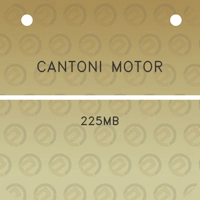 cantoni-motor-225mb