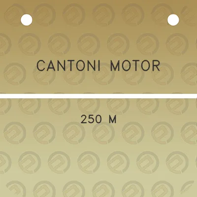 cantoni-motor-250-m