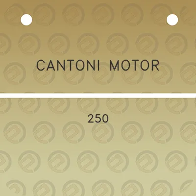 cantoni-motor-250