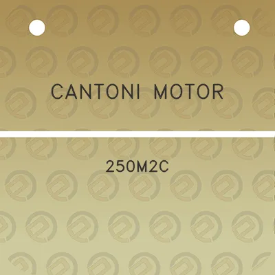 cantoni-motor-250m2c