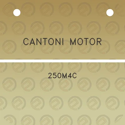 cantoni-motor-250m4c