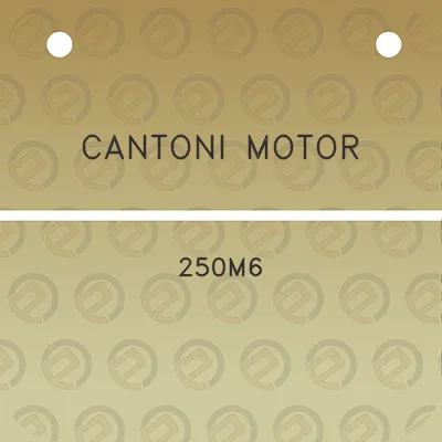 cantoni-motor-250m6