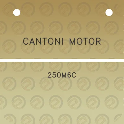 cantoni-motor-250m6c