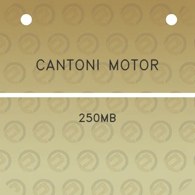 cantoni-motor-250mb