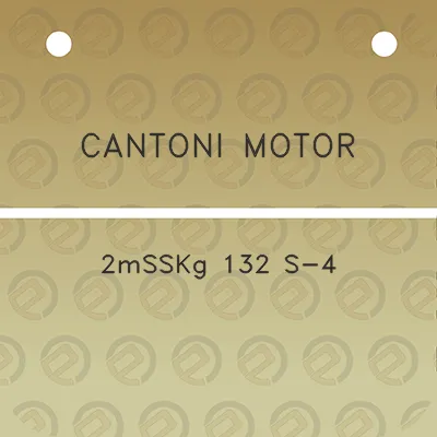 cantoni-motor-2msskg-132-s-4