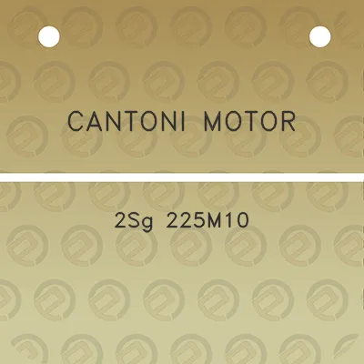 cantoni-motor-2sg-225m10