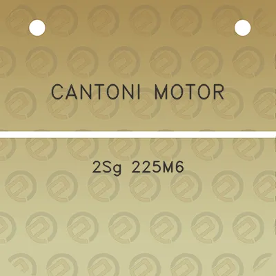 cantoni-motor-2sg-225m6