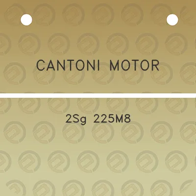 cantoni-motor-2sg-225m8