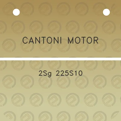 cantoni-motor-2sg-225s10