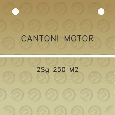 cantoni-motor-2sg-250-m2