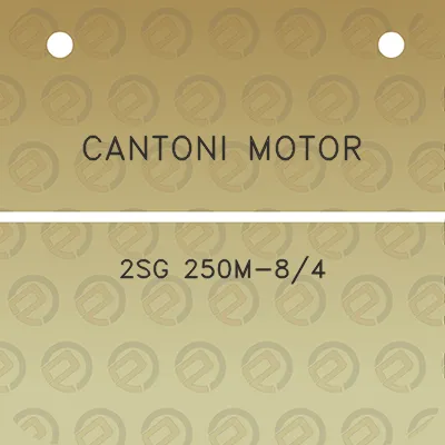 cantoni-motor-2sg-250m-84