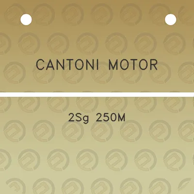 cantoni-motor-2sg-250m