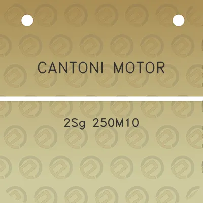 cantoni-motor-2sg-250m10