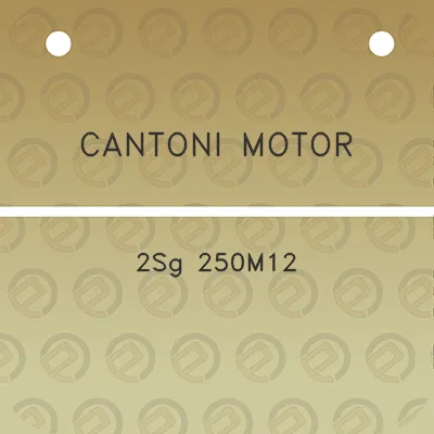 cantoni-motor-2sg-250m12