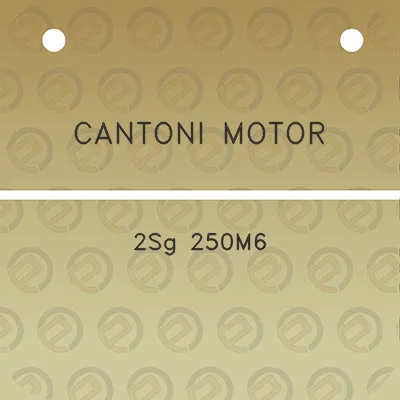 cantoni-motor-2sg-250m6