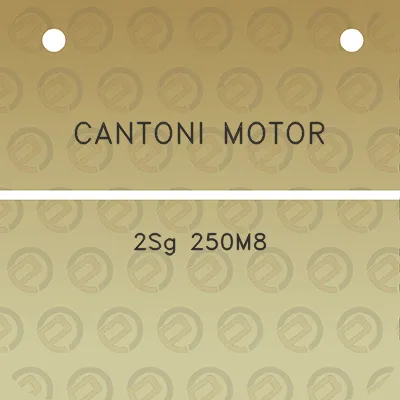 cantoni-motor-2sg-250m8