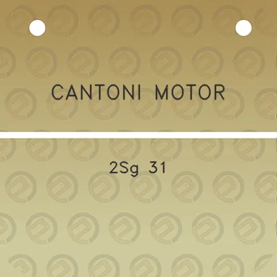 cantoni-motor-2sg-31