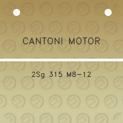 cantoni-motor-2sg-315-m8-12