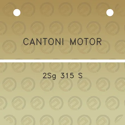 cantoni-motor-2sg-315-s