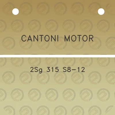 cantoni-motor-2sg-315-s8-12