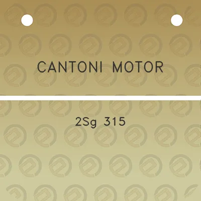 cantoni-motor-2sg-315