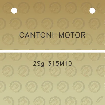 cantoni-motor-2sg-315m10