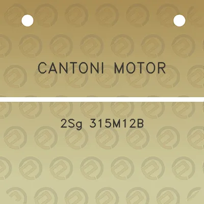 cantoni-motor-2sg-315m12b